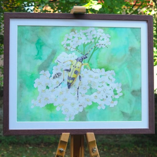 Un festin d'Achillée