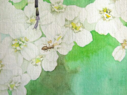 Un festin d'Achillée