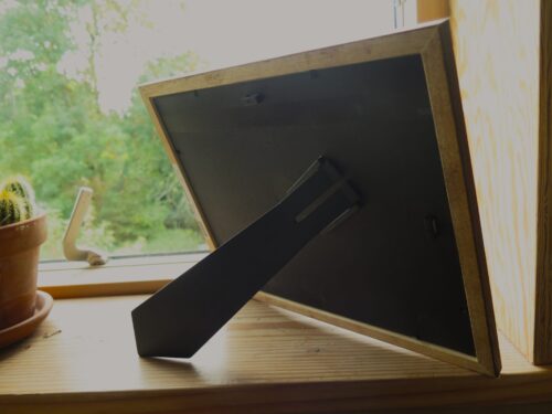 L'astuce de la loutre