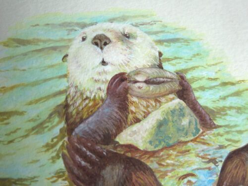 L'astuce de la loutre