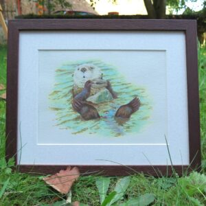 L'astuce de la loutre