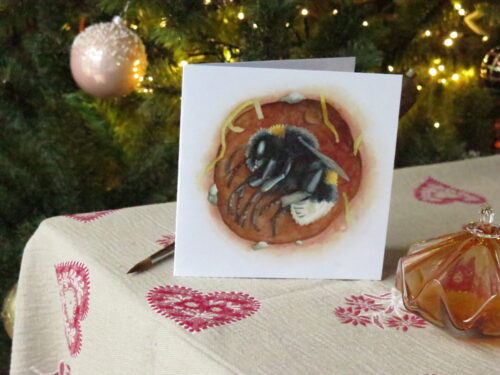 carte hivernale bourdon terrestre Carte de voeux hivernale - Bourdon terrestre