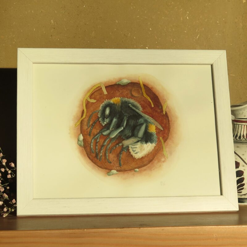 peinture bourdon Bourdon terrestre