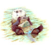 L'astuce de la Loutre scan_qualitylow Impression d'art - L'astuce de la Loutre