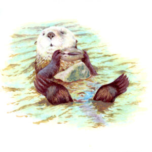 Impression d'art - L'astuce de la Loutre