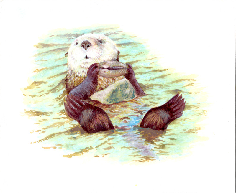 L'astuce de la Loutre scan_qualitylow Impression d'art - L'astuce de la Loutre