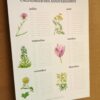 calendrier des anniversaire face B Calendrier des anniversaires