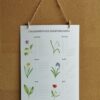 calendrier des anniversaires face A2 Calendrier des anniversaires