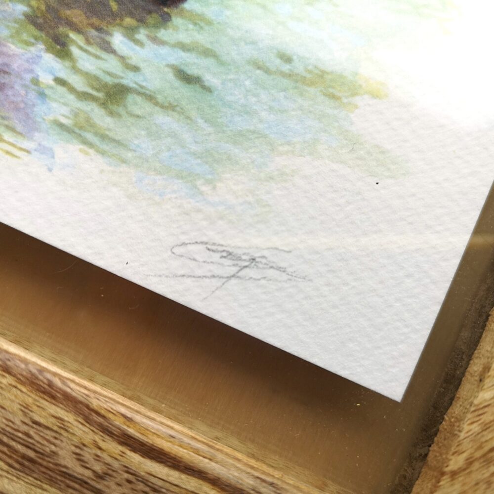 impression l'astuce de la loutre signature Impression d'art - L'astuce de la Loutre