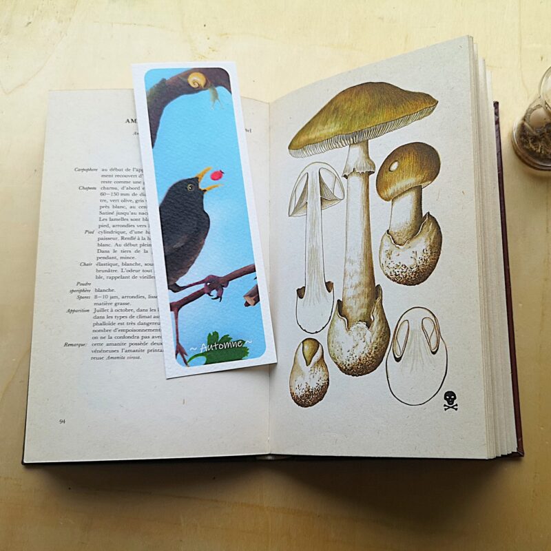 marque-page automne dans livre Marque-page - Automne