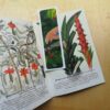 Marque-page - Été