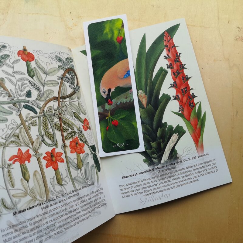 marque-page été dans livre Marque-page - Été
