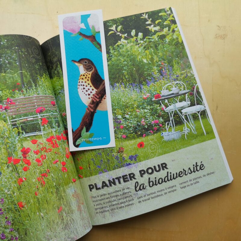 marque-page printemps dans livre Marque-page - Printemps