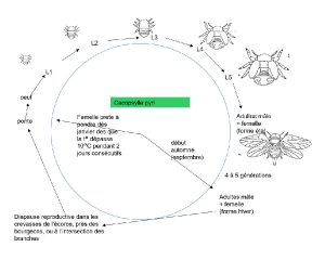 première étape du processus de réalisation